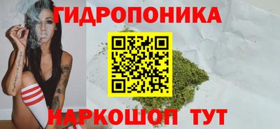 прущие крисы Партизанск